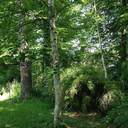 Domaine De Chantemerles Fontainebleau Buitenkant foto