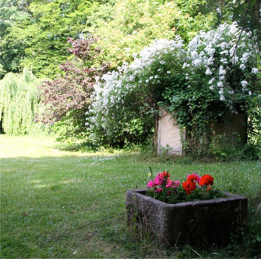 Domaine De Chantemerles Fontainebleau Buitenkant foto