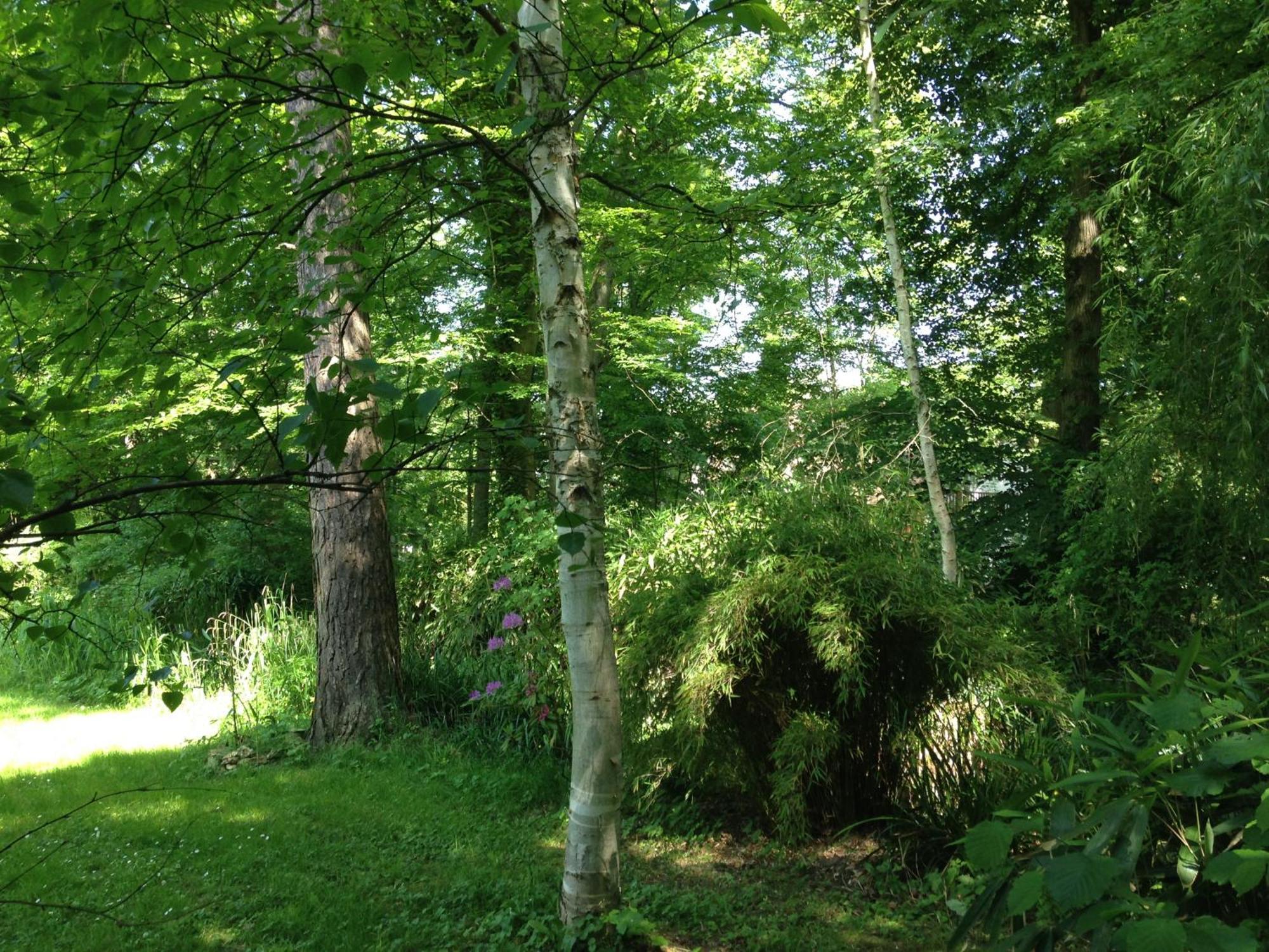 Domaine De Chantemerles Fontainebleau Buitenkant foto
