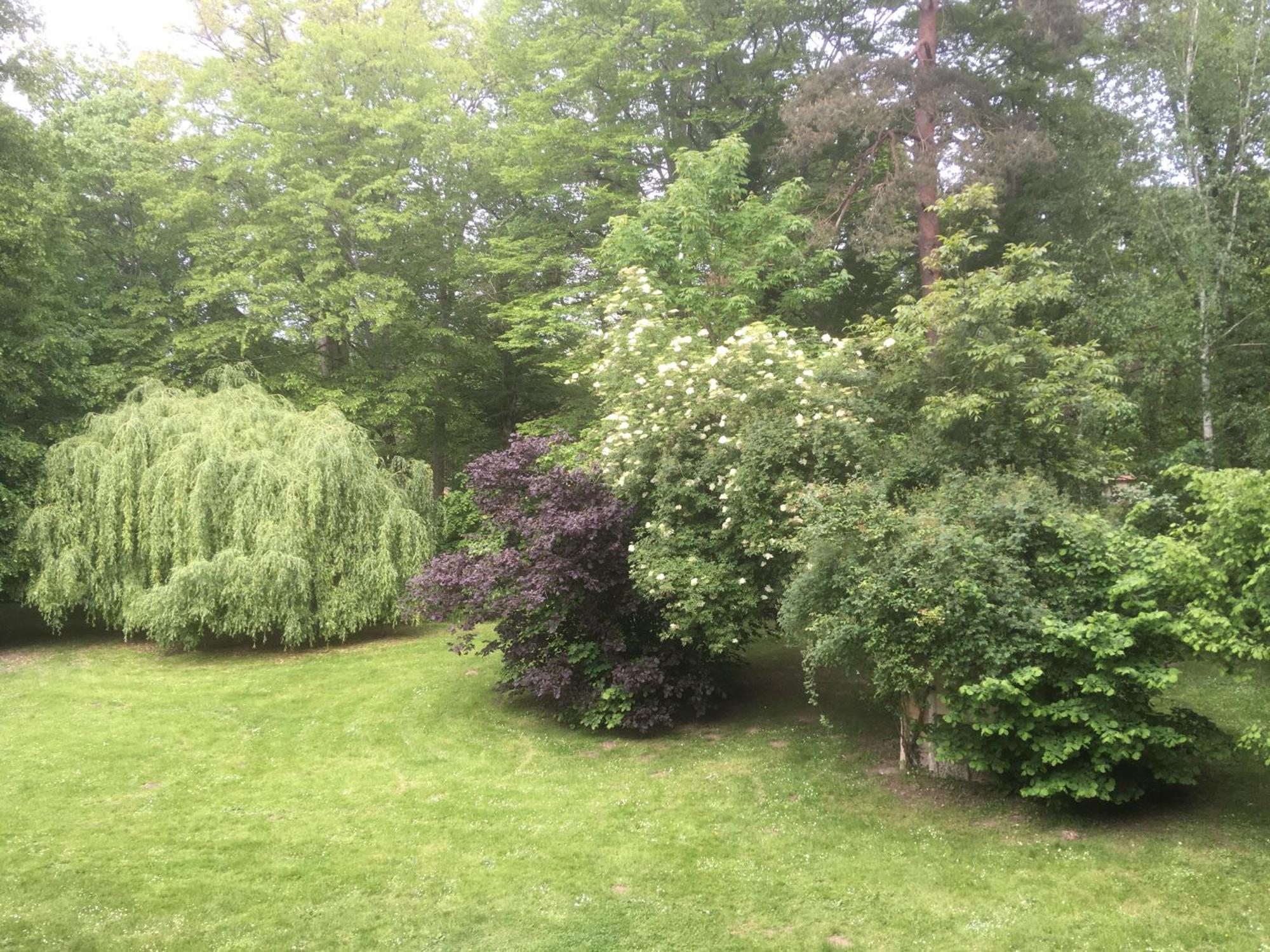 Domaine De Chantemerles Fontainebleau Buitenkant foto