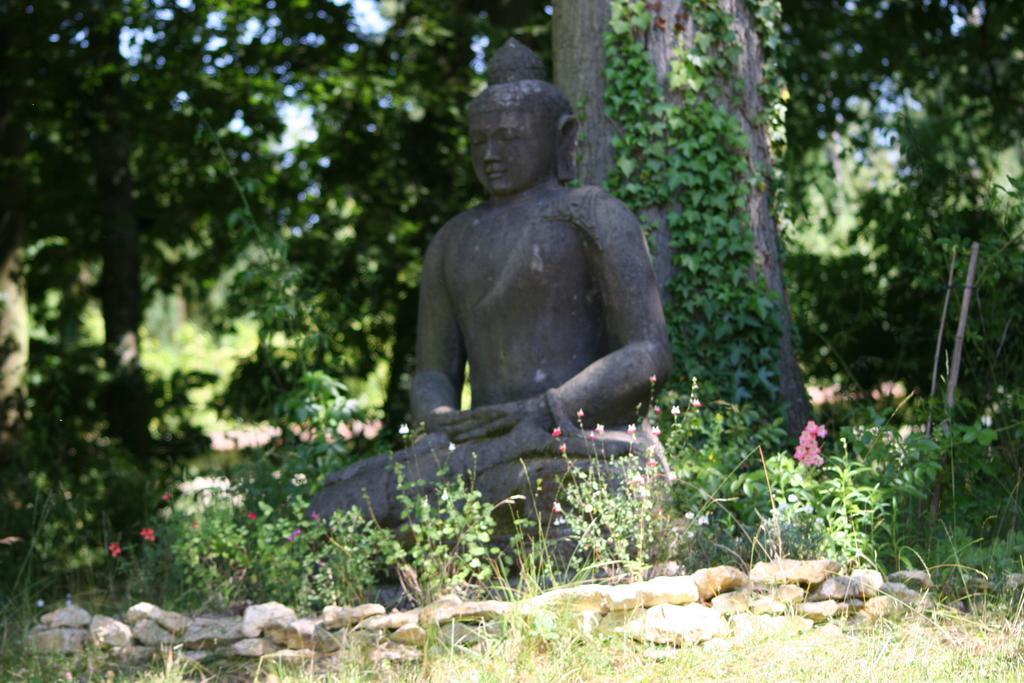 Domaine De Chantemerles Fontainebleau Buitenkant foto