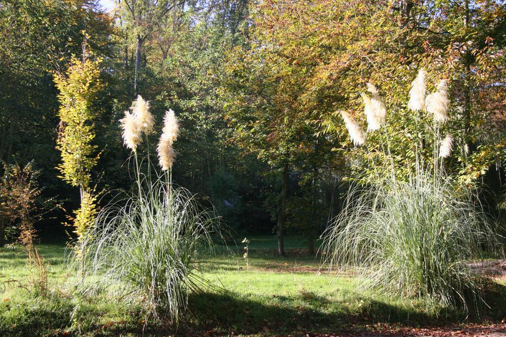Domaine De Chantemerles Fontainebleau Buitenkant foto