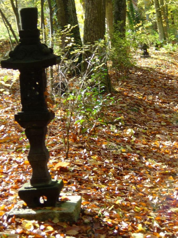 Domaine De Chantemerles Fontainebleau Buitenkant foto