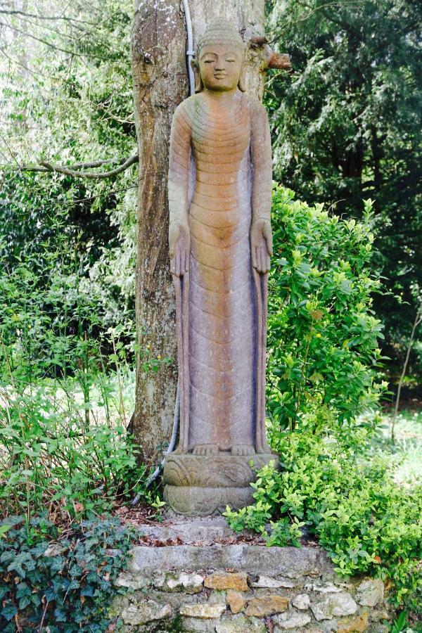 Domaine De Chantemerles Fontainebleau Buitenkant foto